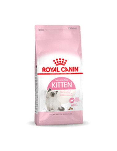Mâncare pentru pisici Royal Canin Kitten