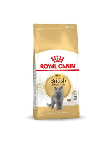 Mâncare pentru pisici Royal Canin British Shorthair Adult Adult 4 Kg