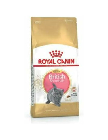 Mâncare pentru pisici Royal Canin
